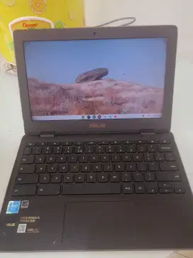 Asus chromebook C204Maa-BU 1431