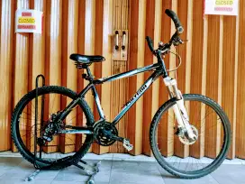 Sepeda Polygon Premier 3.0
