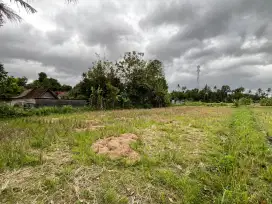 DIJUAL TANAH MURAH