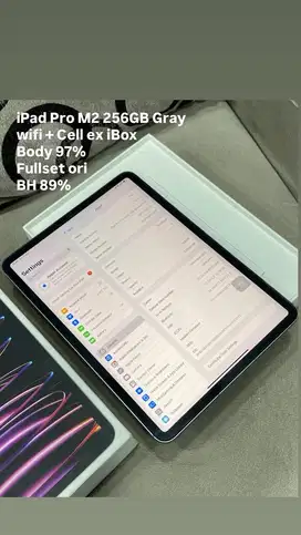 iPad Pro M2 11” 256GB Gray Wifi + Cell ex iBox