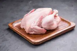 Lowongan sales ayam frozen (khusus wanita)