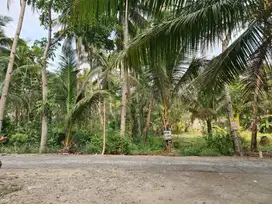 Dijual Kavling Ngulakan Kulon Progo Yogyakarta Luas Dekat Bandara YIA Lokasi Strategis Pinggir Jalan Desa