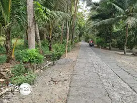 Dijual Kavling Ngulakan Kulon Progo Yogyakarta Luas Dekat Bandara YIA Lokasi Strategis Pinggir Jalan Desa