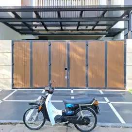 Suzuki rc 100 double starter