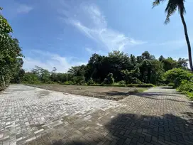 Tanah Murah Jogja Lingkungan Kos Premium, SHM P