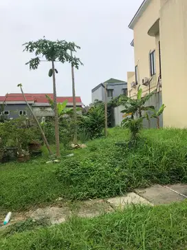 Tanah Kavling Cluster Taman Menteng Lippo Cikarang Luas 317 m Rp 1,5 M