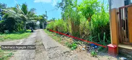 Tanah nyaman dam asri timur kampus UII cocok untuk hunian