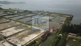 Jual Tanah Murah Hadap Laut di Hanura Lampung
