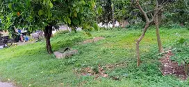Dijual tanah kosong strategis pinggir jalan desa pengasinan gn sindur
