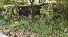 DIJUAL Tanah Sayap Jl.Sutami dkt Cipedes Setrasari Pasteur Gegerkalong