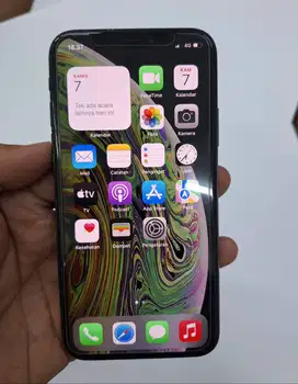 iPhone Xs 256GB Second Original100% EX-INTER