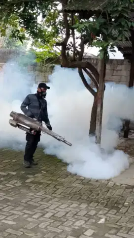 nyamuk fogging demam berdarah