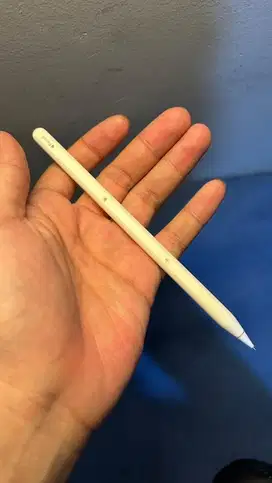Apple pencil 2 for ipad ibox