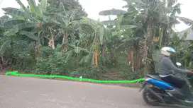 Tanah darat cocok buat minimarket gudang dan lainnya d mustika jaya