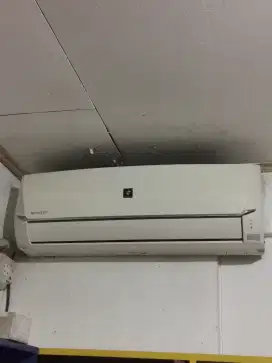 AC Sharp  split 1.5pk