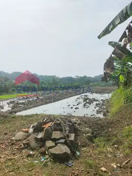 Tanah luas dipinggir Jalan Raya Provinsi , exit tol Purwodadi Pasuruan