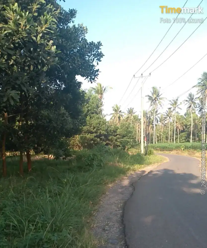 Mencari pekerjaan apa aj kurir