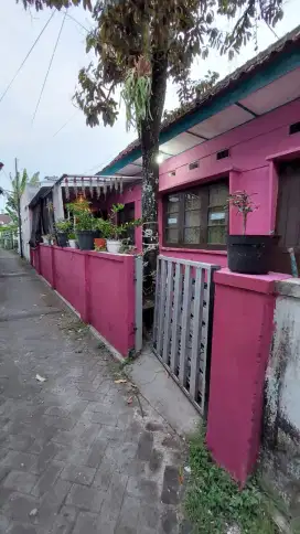 Disewakan bro rumah murah