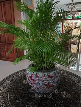GUCI ANTIK UMUR 90 TAHUN WARISAN  + PETI KAYU WARISAN + GUCI HIJAU