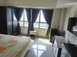 Disewakan Apartemen Springlake Tower Elodia Summarecon Bekasi.
