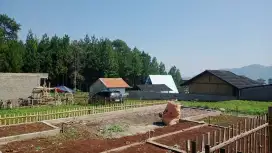 Tanah kavling pinus asri