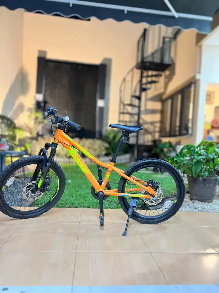 Sepedah polygon Reric20