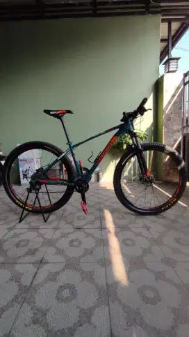 Polygon Xtrada 6