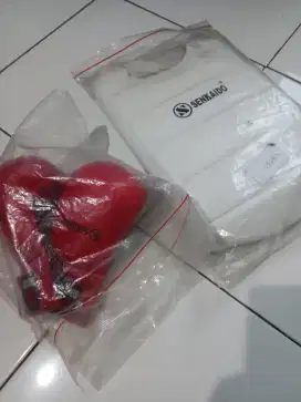 Alat beladiri taekwondo buat anak anak usia TK sampai  3 SD