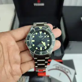 Tudor Pelagos LHD
