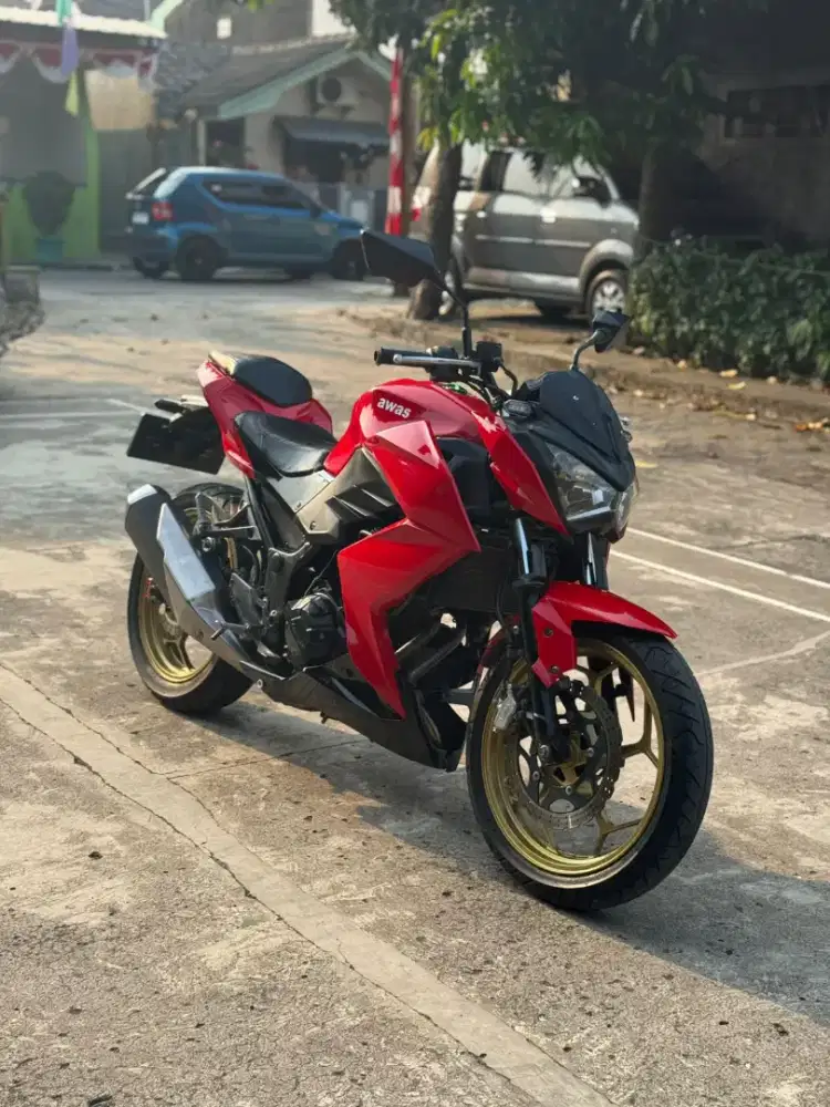 Kawasaki Z250 2017