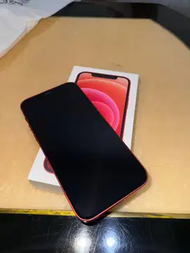 Iphone 12 128gb Ex Ibox