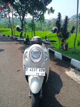 Honda scoopy 2022