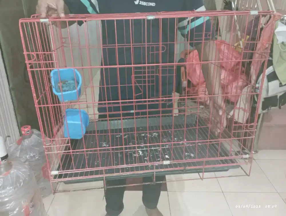 Jual kandang murah cepat