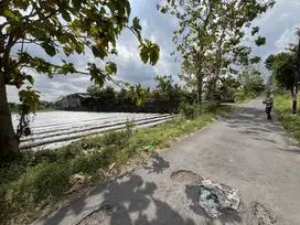 Dekat UII, 80 Meter jalan besi-jakang, Suasana Asri