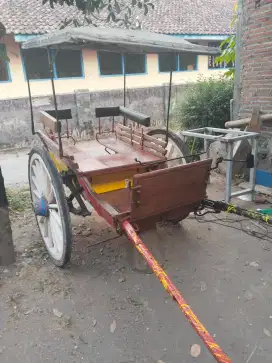 Delman kuda bendi dokar kuda klasik
