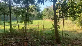 Bangunjiwo, Tanah Kasihan Bantul, Dekat Pasar Gamping