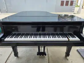 Grand Piano yamaha classic G2, Nippon Yakki Build Up jepang, nego