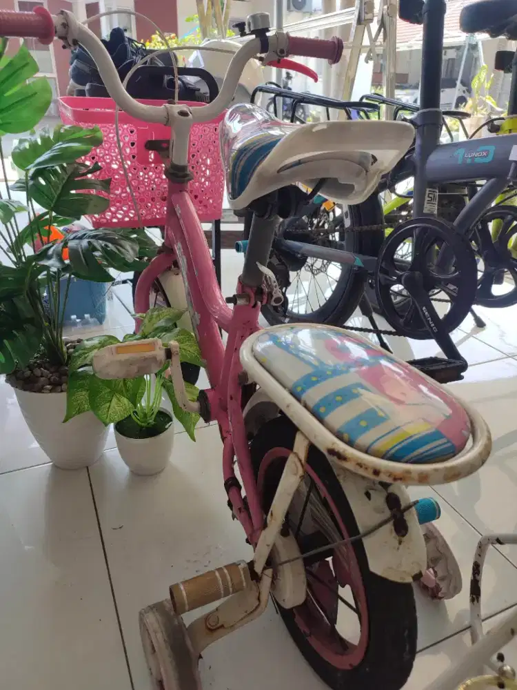 Sepeda anak perempuan 2th Dijual Cepat