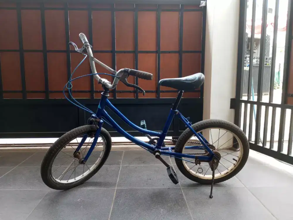 Di jual sepeda anak