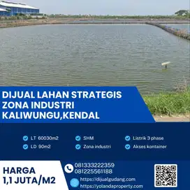 Dijual Lahan Strategis Industri Lokasi Kaliwungu,Kendal Luas 6 Ha