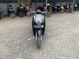 Scoopy karbu 2011.Pajak hidup