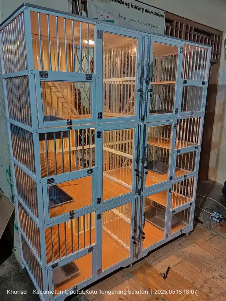 Spesialis kandang kucing