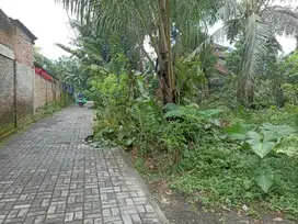 JUAL TANAH DEKAT CANDI BOROBUDUR