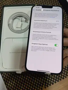 iPhone 13 pro max Sierra blue 256gb