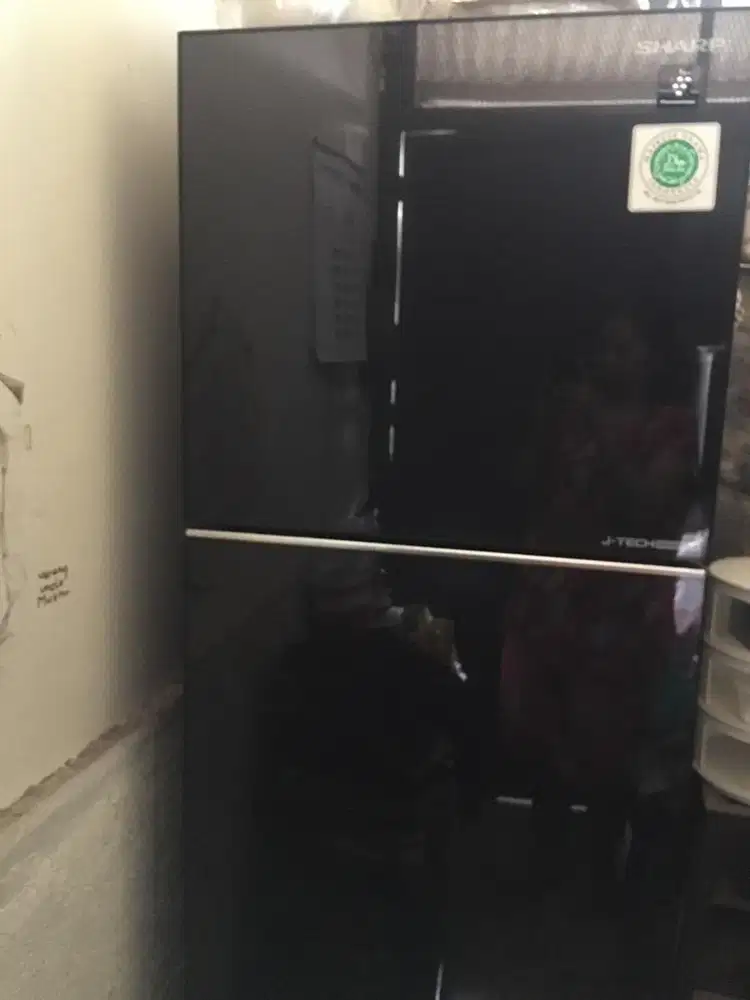 kulkas 2 pintu sharp