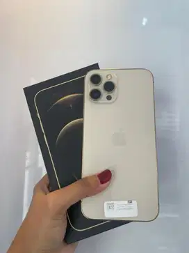 iPhone 12 Pro Max 256 Gold