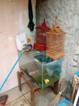 jual kandang burung kecil dan aquarium