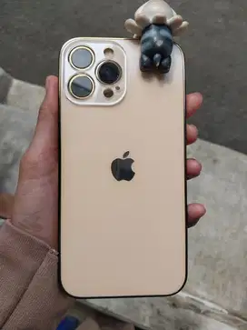 Jual iphone 13 promax 256 mulus