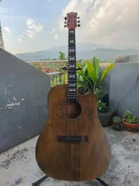 Gitar akustik elektrik chard wd86c