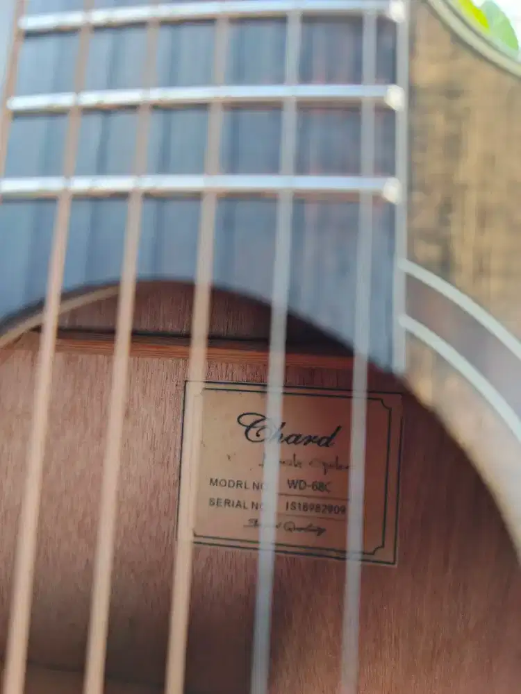 Gitar akustik elektrik chard wd86c
